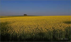 <p>Šluknovsko - okolí Jiříkova</p>